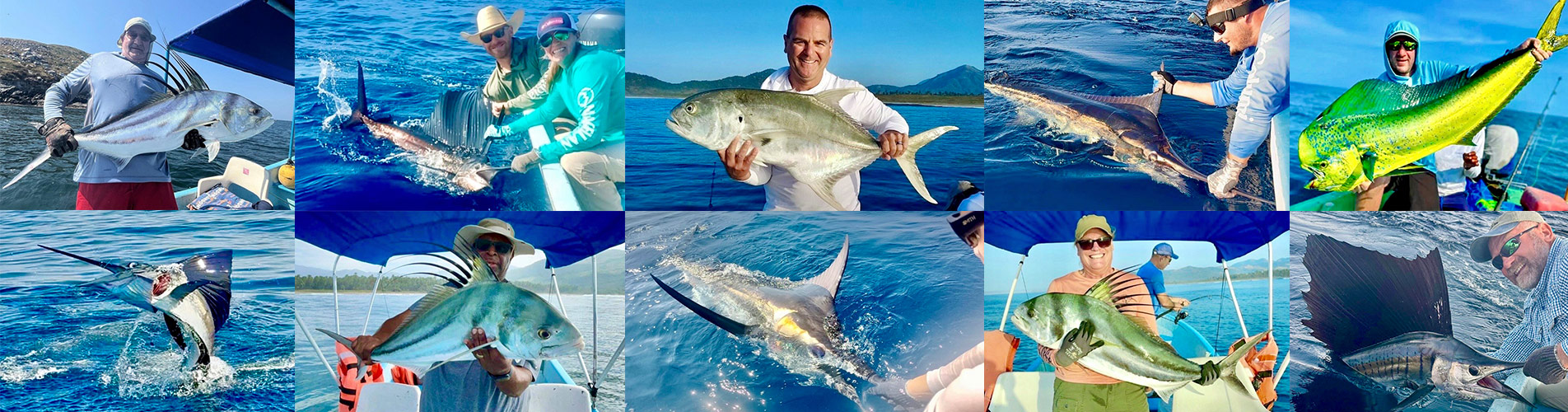 Roosterfish Dorado Tuna Sailfish Marlin Fishing