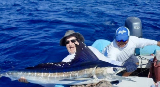 1_striped-marlin