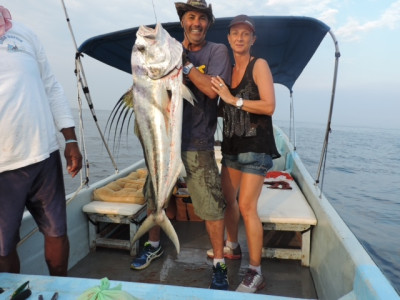 roosterfish