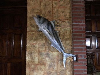 Roosterfish mount in lodge