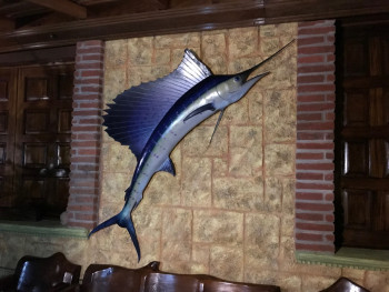 Sailfish mount in lodge