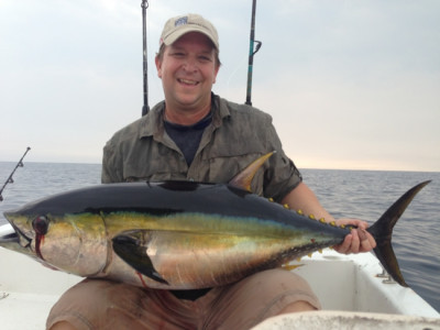 1 of 53 Yellowfin Don G. landed in one day on his visit to Bahia La Tortuga Fishing Lodge