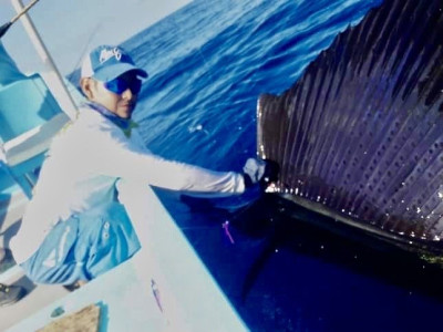 big-pacific-sailfish-mexico