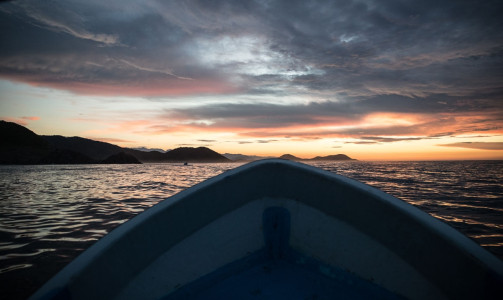 carter-andrews-fish-mexico-01