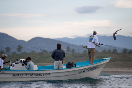 carter-andrews-fish-mexico-02