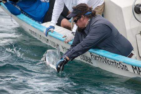 carter-andrews-fish-mexico-04