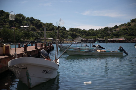 carter-andrews-fish-mexico-07