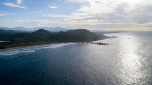 carter-andrews-fish-mexico-08