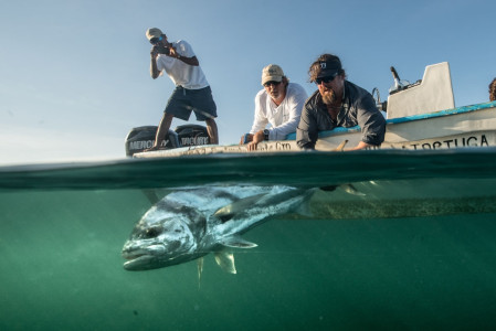 carter-andrews-fish-mexico-15