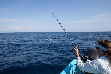 carter-andrews-fish-mexico-21