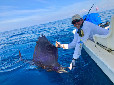 costa grande sailfish on fly