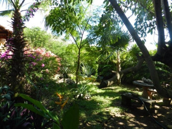 Lush Lodge Grounds