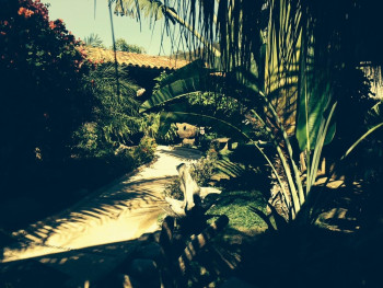 Around the Lodge.