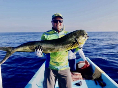 mahi-mahi-fishing