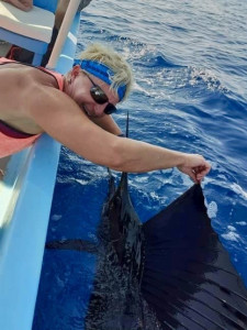 sailfish-catch-and-release