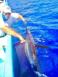 sailfish-guide-Ixtapa