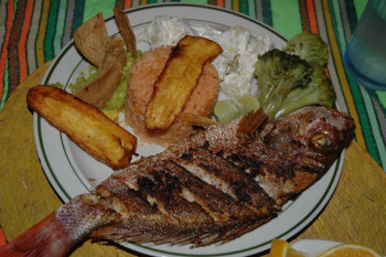 Grilled Red Snapper.