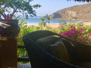 view from the lodge
